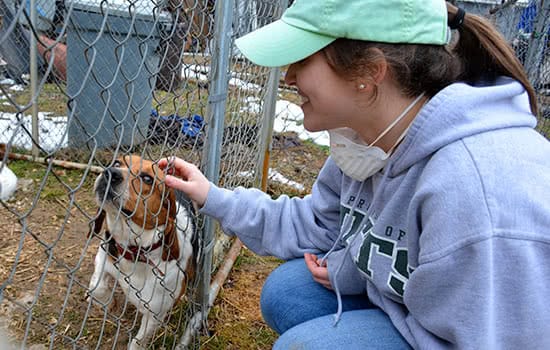 A Loyola student petting a dog while performing service in Baltimore