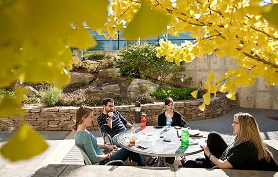 Students sitting around a table with fall leaves in the foreground